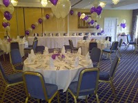 Balloon Expressions and chair cover Hire 1100288 Image 3